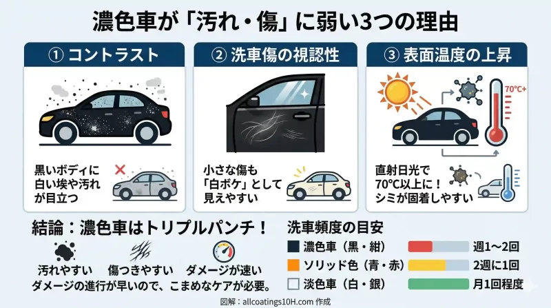 濃紺車が洗車頻度を上げた方が良い理由