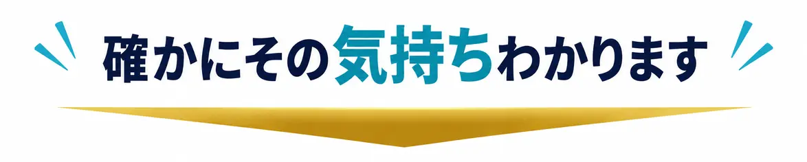 自分にDIYでガラスコーティングができるかを心配している人の気持ちを理解しているというテキスト画像